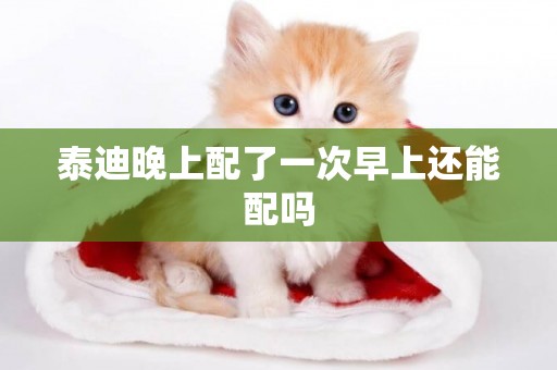泰迪晚上配了一次早上還能配嗎