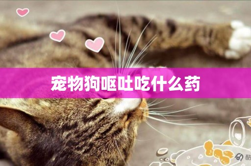 寵物狗嘔吐吃什么藥