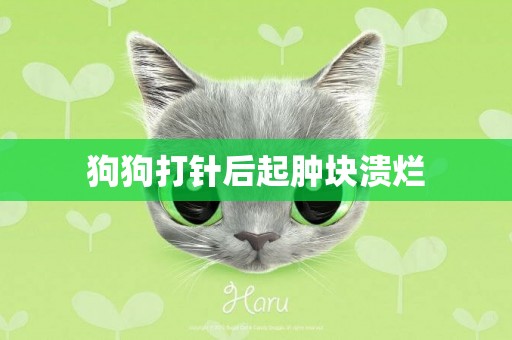 狗狗打針后起腫塊潰爛