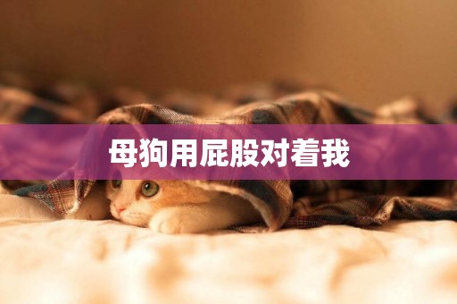 母狗用屁股對著我