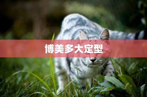 博美多大定型