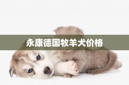永康德國牧羊犬價格