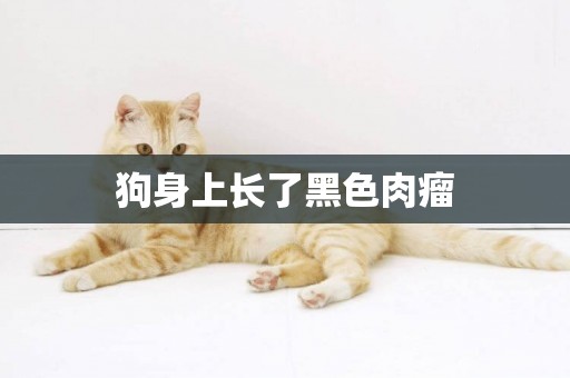 狗身上長了黑色肉瘤