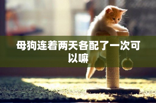 母狗連著兩天各配了一次可以嘛