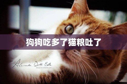 狗狗吃多了貓糧吐了