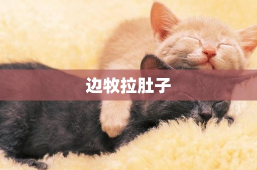 邊牧拉肚子