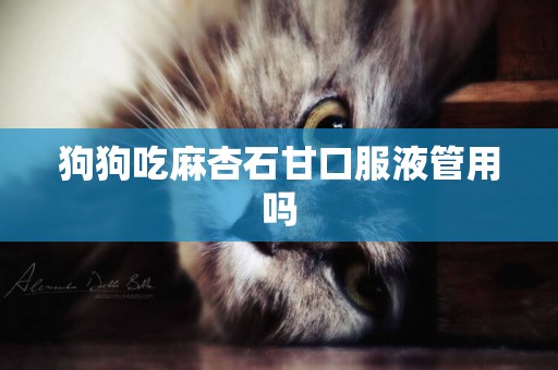 狗狗吃麻杏石甘口服液管用嗎