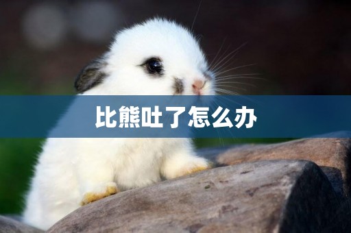 比熊吐了怎么辦