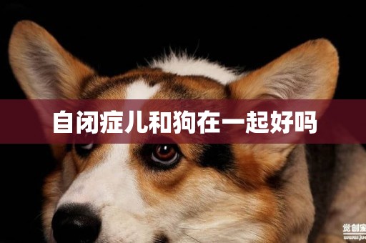 自閉癥兒和狗在一起好嗎