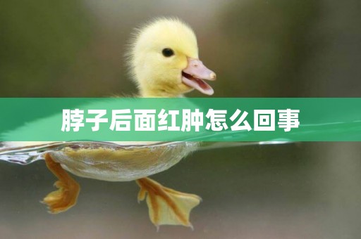 脖子后面紅腫怎么回事