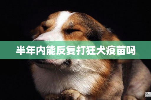 半年內能反復打狂犬疫苗嗎