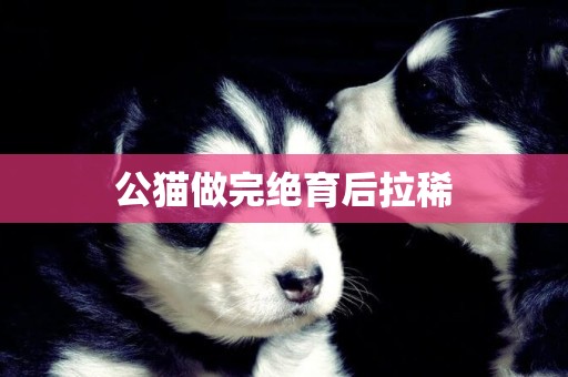 公貓做完絕育后拉稀