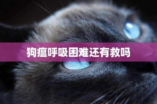 狗瘟呼吸困難還有救嗎