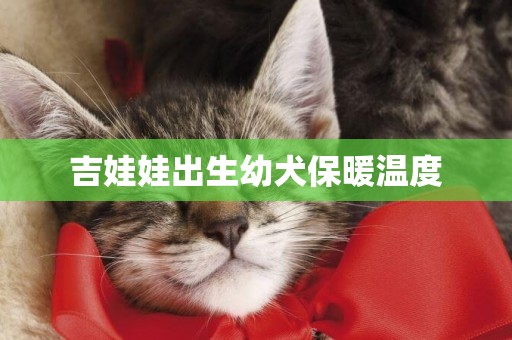 吉娃娃出生幼犬保暖溫度