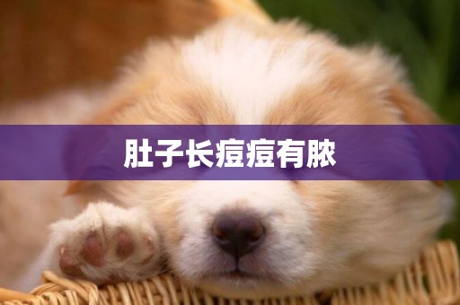 肚子長痘痘有膿