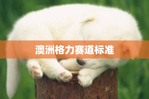澳洲格力賽道標準