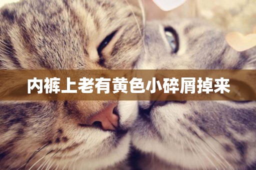 內褲上老有黃色小碎屑掉來