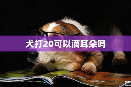 犬打20可以滴耳朵嗎