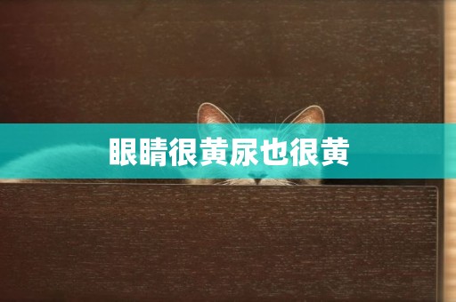 眼睛很黃尿也很黃
