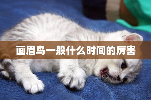畫眉鳥一般什么時間的厲害
