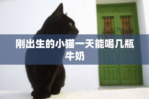剛出生的小貓一天能喝幾瓶牛奶