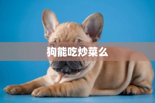 狗能吃炒菜么
