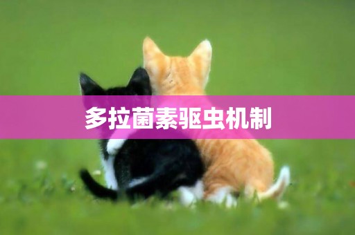 多拉菌素驅蟲機制