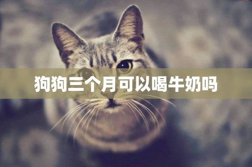 狗狗三個月可以喝牛奶嗎