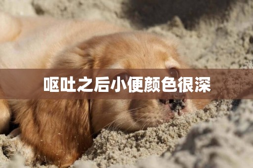 嘔吐之后小便顏色很深