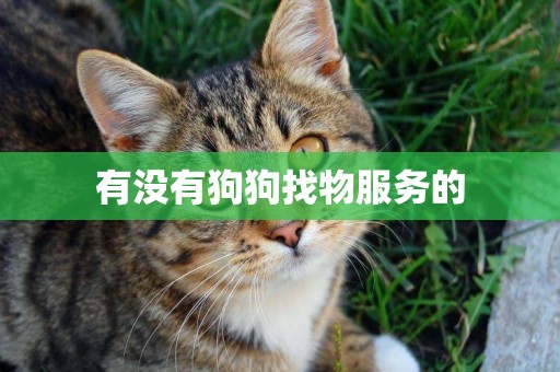 有沒有狗狗找物服務的
