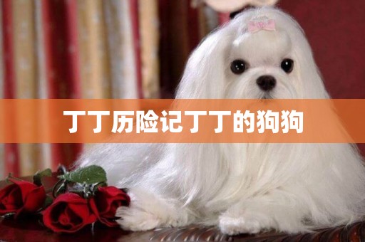 丁丁歷險記丁丁的狗狗