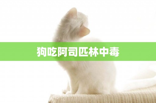 狗吃阿司匹林中毒
