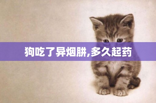 狗吃了異煙肼,多久起藥
