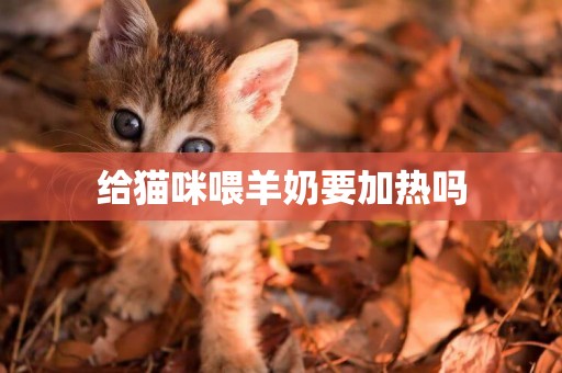 給貓咪喂羊奶要加熱嗎