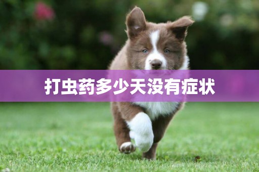 打蟲藥多少天沒有癥狀