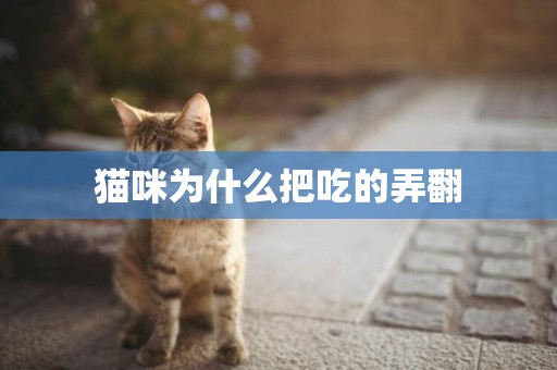 貓咪為什么把吃的弄翻