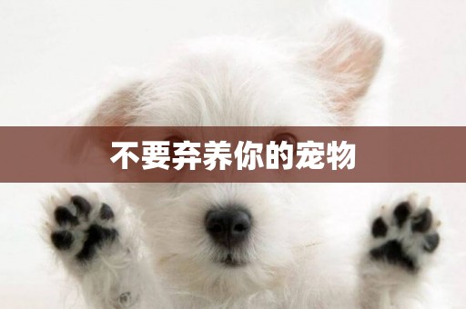 不要棄養你的寵物