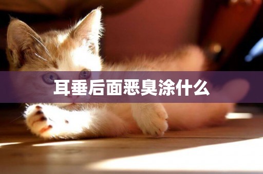 耳垂后面惡臭涂什么