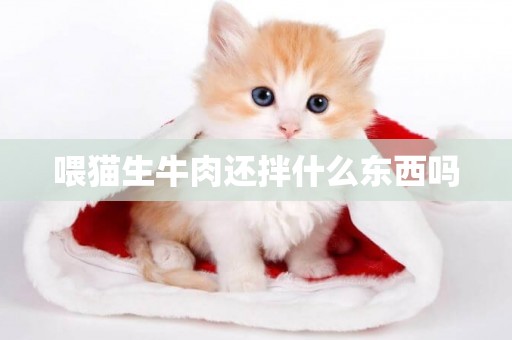 喂貓生牛肉還拌什么東西嗎