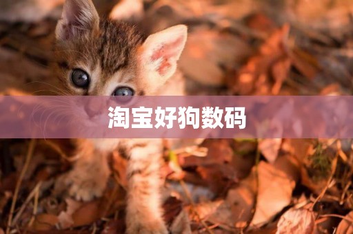 淘寶好狗數碼