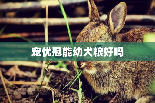 寵優冠能幼犬糧好嗎