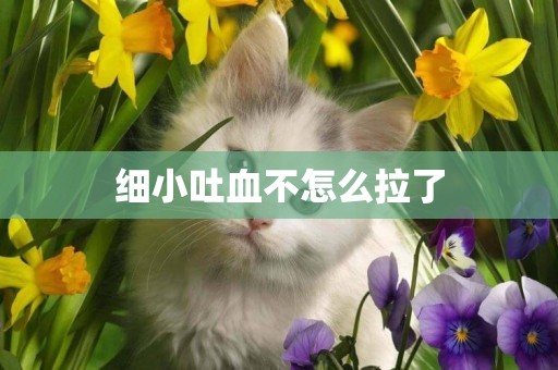 細小吐血不怎么拉了