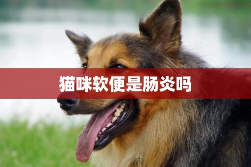 貓咪軟便是腸炎嗎