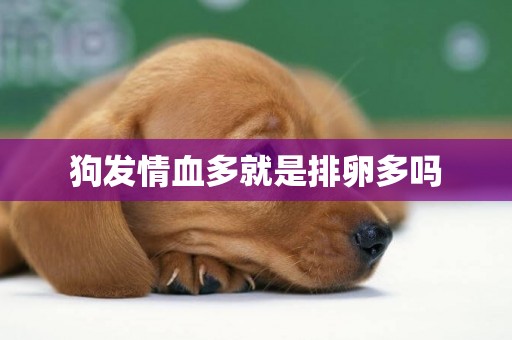 狗發情血多就是排卵多嗎