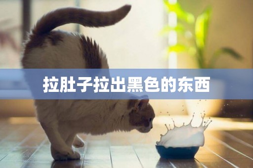 拉肚子拉出黑色的東西