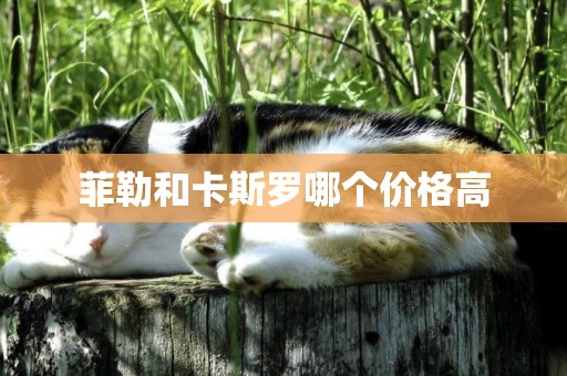 菲勒和卡斯羅哪個價格高