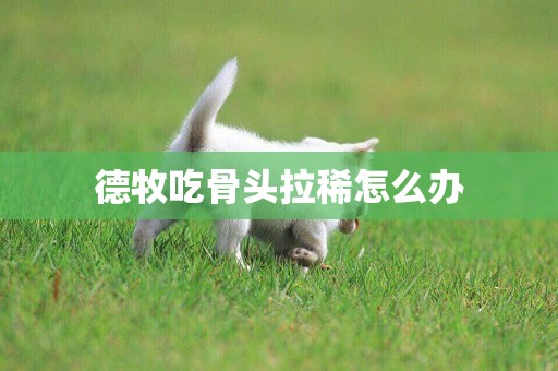 德牧吃骨頭拉稀怎么辦