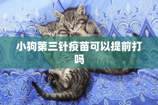 小狗第三針疫苗可以提前打嗎