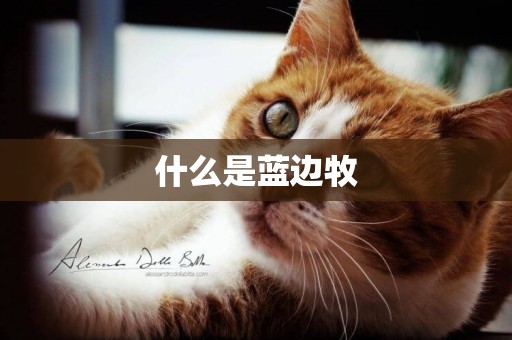 什么是藍邊牧