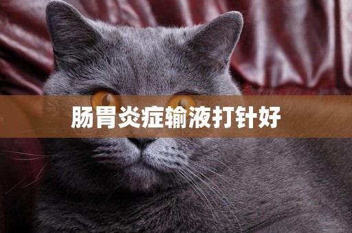 腸胃炎癥輸液打針好